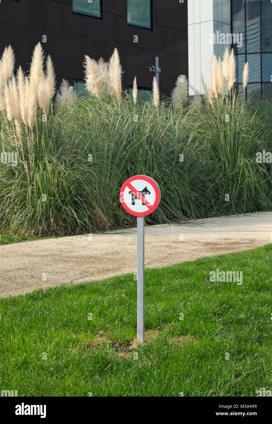Nessun cane ammessi segno nel parco urbano Foto Stock