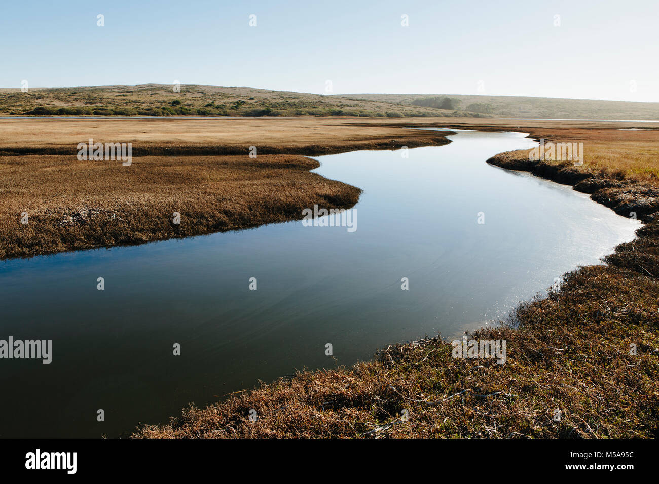 Gli spazi aperti di paludi e canali d'acqua. Calma piatta l'acqua. Foto Stock