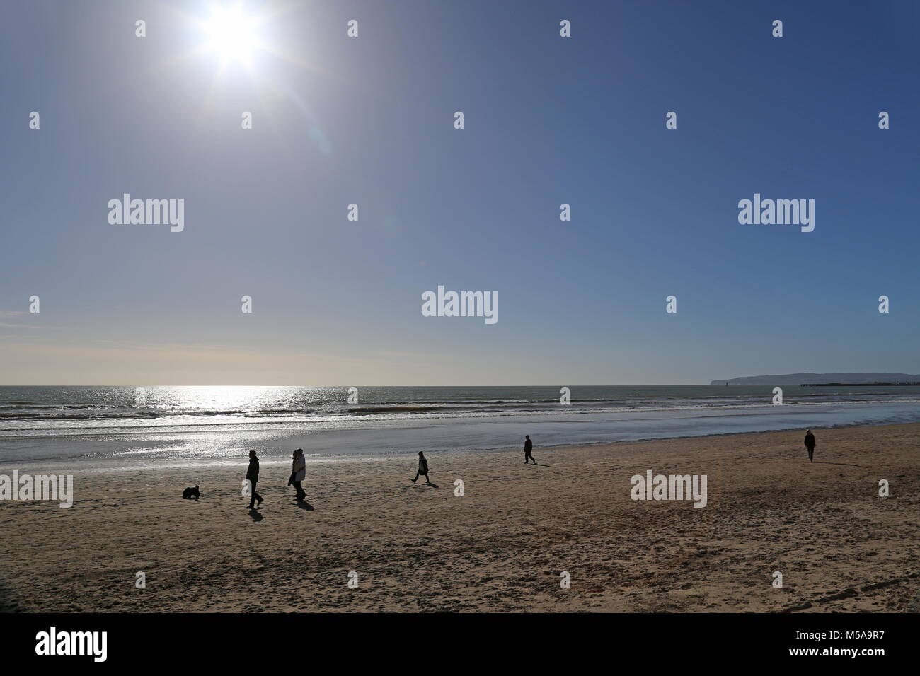 Camber Sands, segale, East Sussex, Inghilterra, Gran Bretagna, Regno Unito, Gran Bretagna, Europa Foto Stock