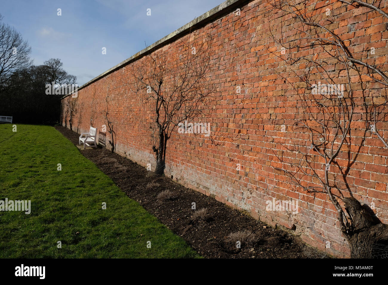 Attingham Park Foto Stock