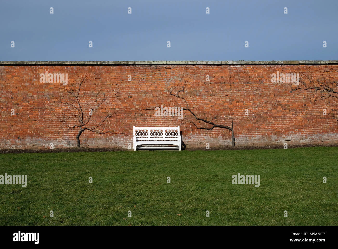 Attingham Park Foto Stock