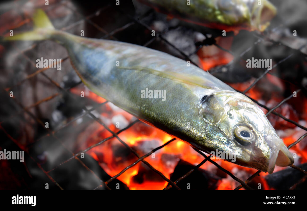 Indian sgombro fish grill sul carbone foto di cottura in flash illuminazione. Foto Stock