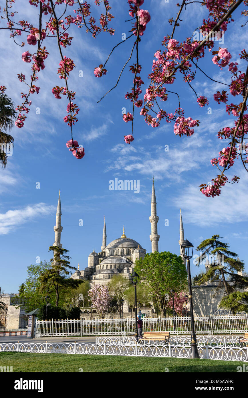 La Moschea Fatih, conquistatore la moschea, in primavera, Istanbul, Turchia Foto Stock