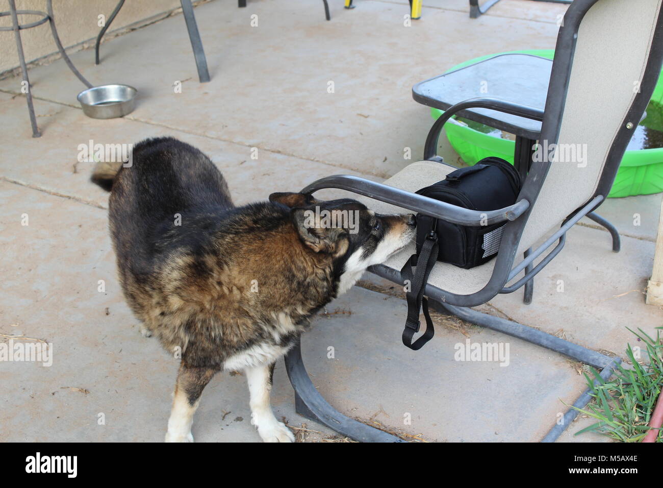 Una tranquilla stanza illuminata da una piccola lampada con fotografie appese alla parete creando un atmosfera tranquilla la sera. Foto Stock