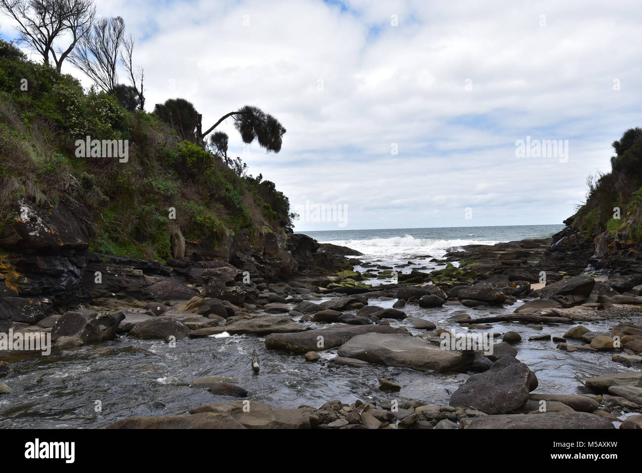 Magnifica sosta pranzo sulle rive del fiume Elliot,la Great Ocean Walk, Apollo Bay,grande Otway National Park,Victoria Australia Foto Stock