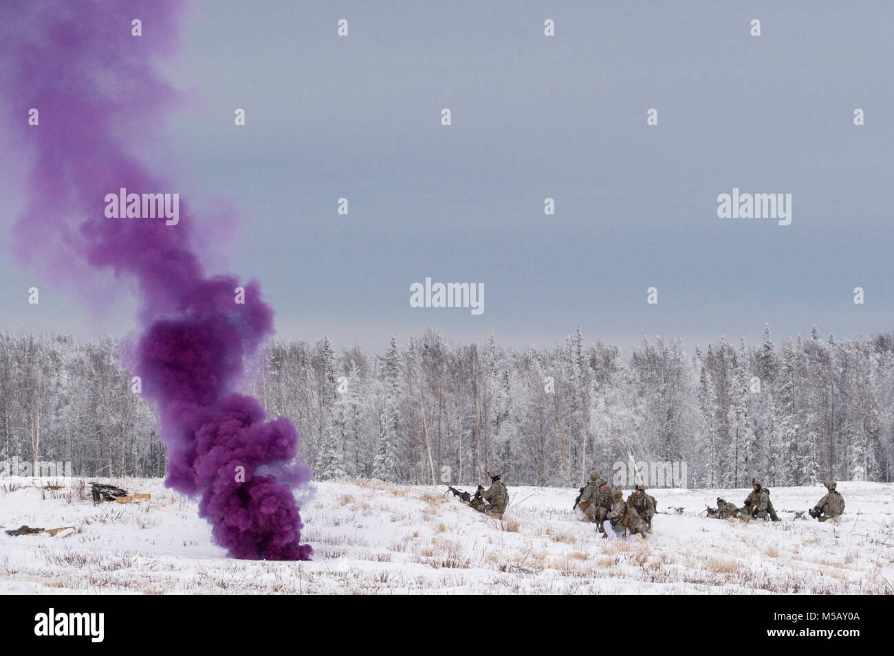 I soldati assegnati a società di caricabatterie, 1° Battaglione, quinto reggimento di fanteria, 1° Stryker Brigade Combat Team, XXV divisione di fanteria, U.S. Esercito di Alaska, partecipa all'operazione conca a base comune Elmendorf-Richardson, Alaska, il 10 febbraio, 2018. Funzionamento Conca è stato un battaglione-livello, bracci combinato, live-esercizio di incendio che si è concentrato sulla letalità artico. Durante il funzionamento di tre 150-soldato aziende manovrato attraverso vari terreni; attaccando e cogliendo le posizioni nemiche nonché eliminando le principali armi e veicoli essendo utilizzati dal nemico. (U.S. Air Force Foto Stock