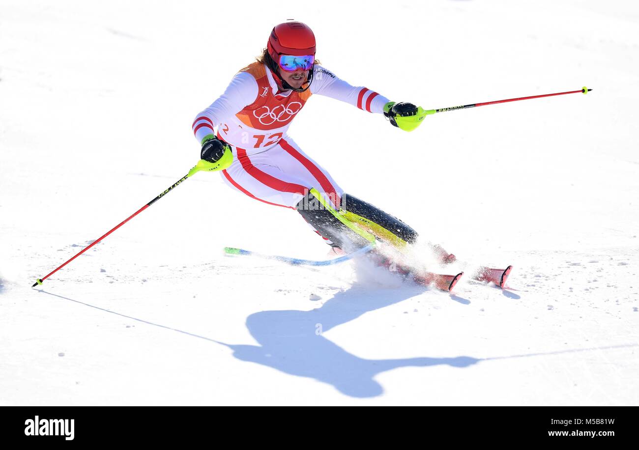 Pyeongchang, Corea del Sud. Il 22 febbraio, 2018. Manuel Feller (AUT). Mens slalom. Yongpyong alpine center. Alpensia. Pyeongchang2018 Olimpiadi invernali. Repubblica di Corea. 22/02/2018. Credito: Sport In immagini/Alamy Live News Foto Stock