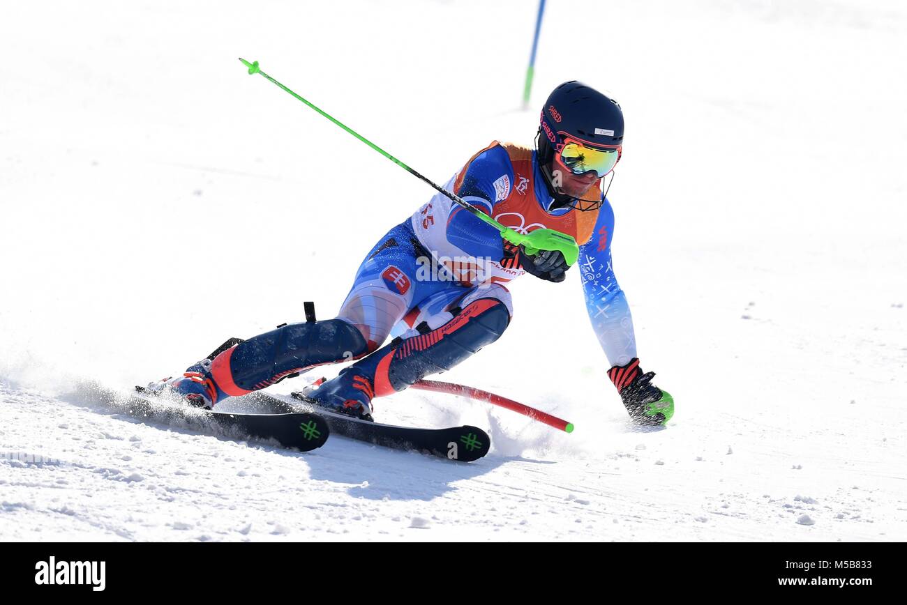 Pyeongchang, Corea del Sud. Il 22 febbraio, 2018. Matej Falat (SVK). Mens slalom. Yongpyong alpine center. Alpensia. Pyeongchang2018 Olimpiadi invernali. Repubblica di Corea. 22/02/2018. Credito: Sport In immagini/Alamy Live News Foto Stock