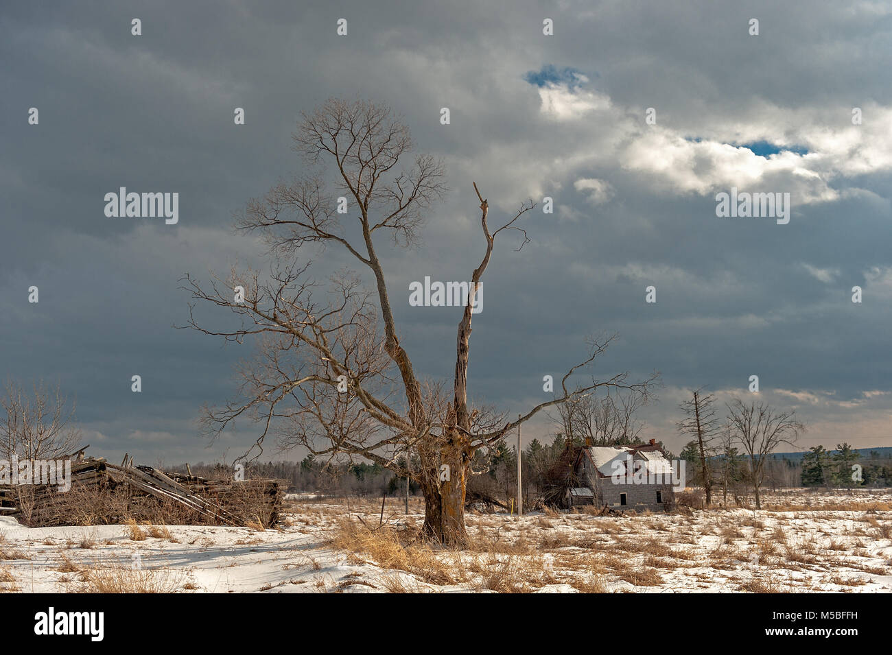 Azienda abbandonata in inverno Foto Stock