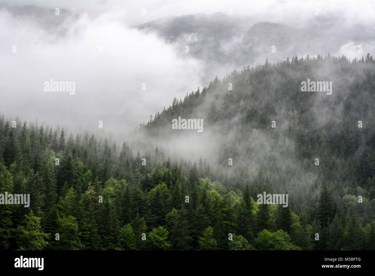 Un nebbioso e montuoso foreste pluviali temperate al di sopra di Clements Lago Area ricreativa nel nord della British Columbia, Canada. Foto Stock