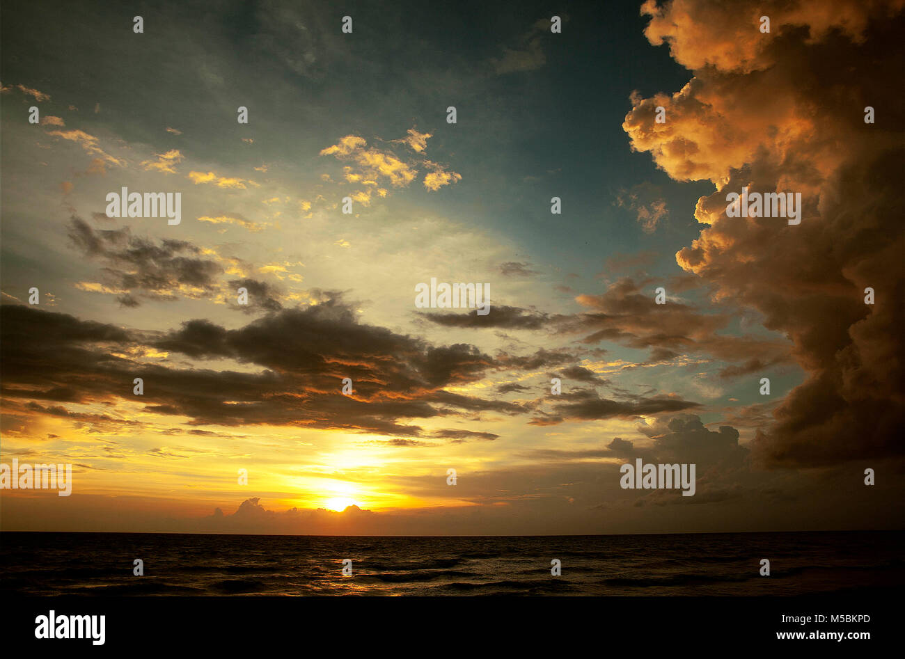 Tramonto, Silhouette di un albero di cocco su Trường Beach, Long Beach. Phu Quoc island, Kien Giang, Vietnam. Foto Stock