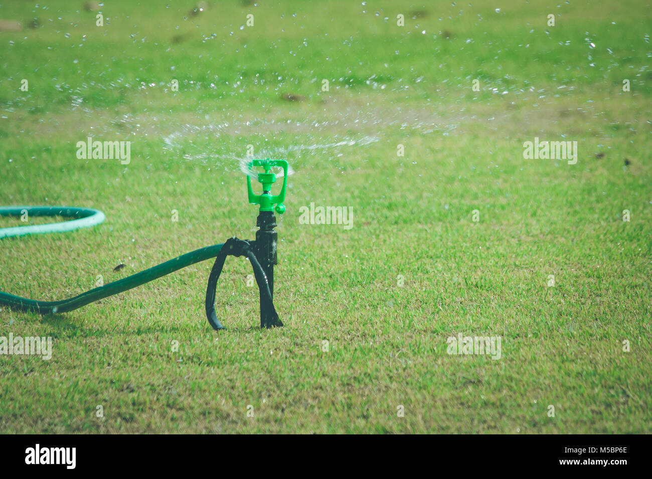 Lawn sprinkler acqua su erba verde la spruzzatura e irrigazione prato in giardino nella stagione estiva. Foto Stock