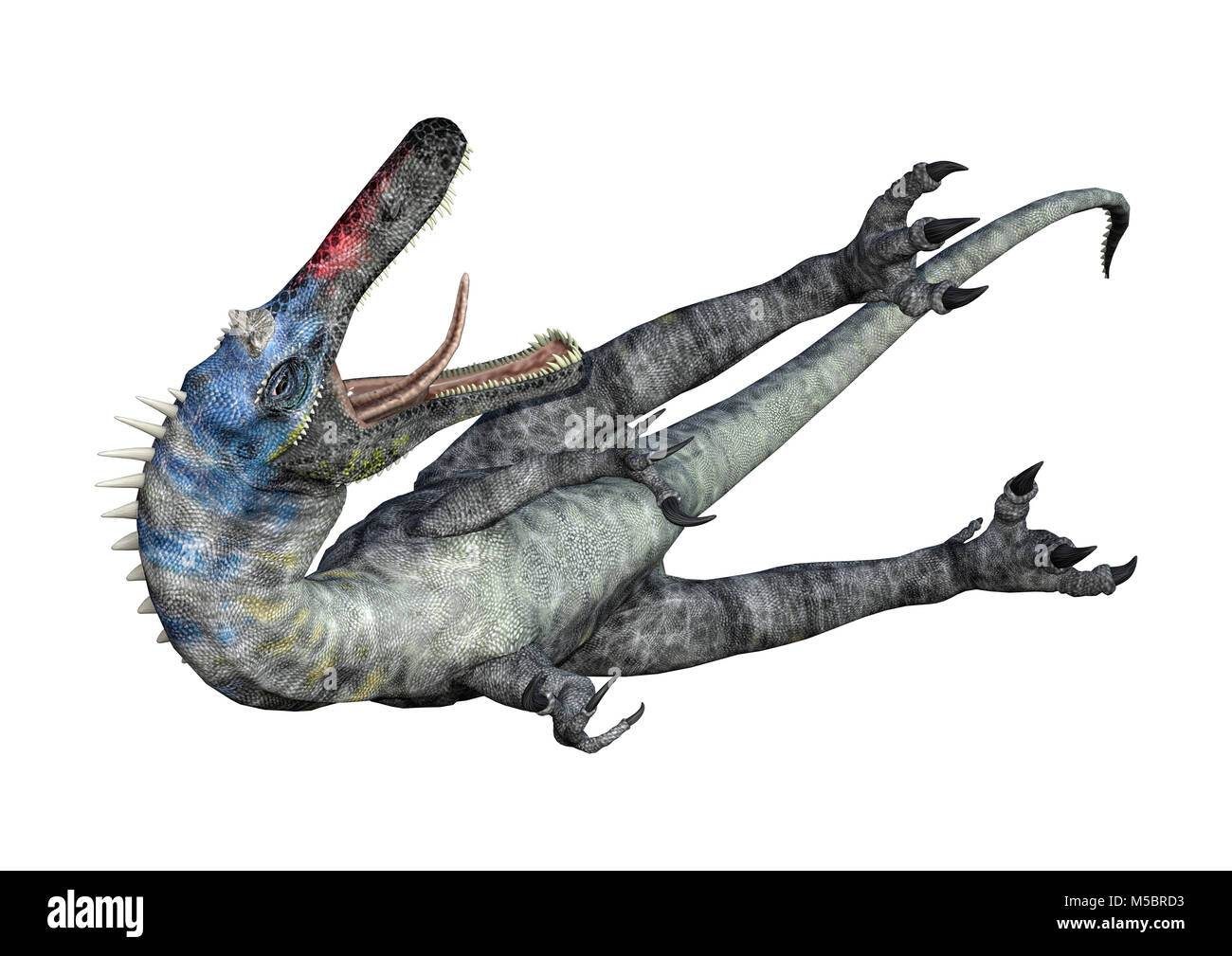 3D rendering di un dinosauro Suchomimus o Suchomimus tenerensis isolati su sfondo bianco Foto Stock