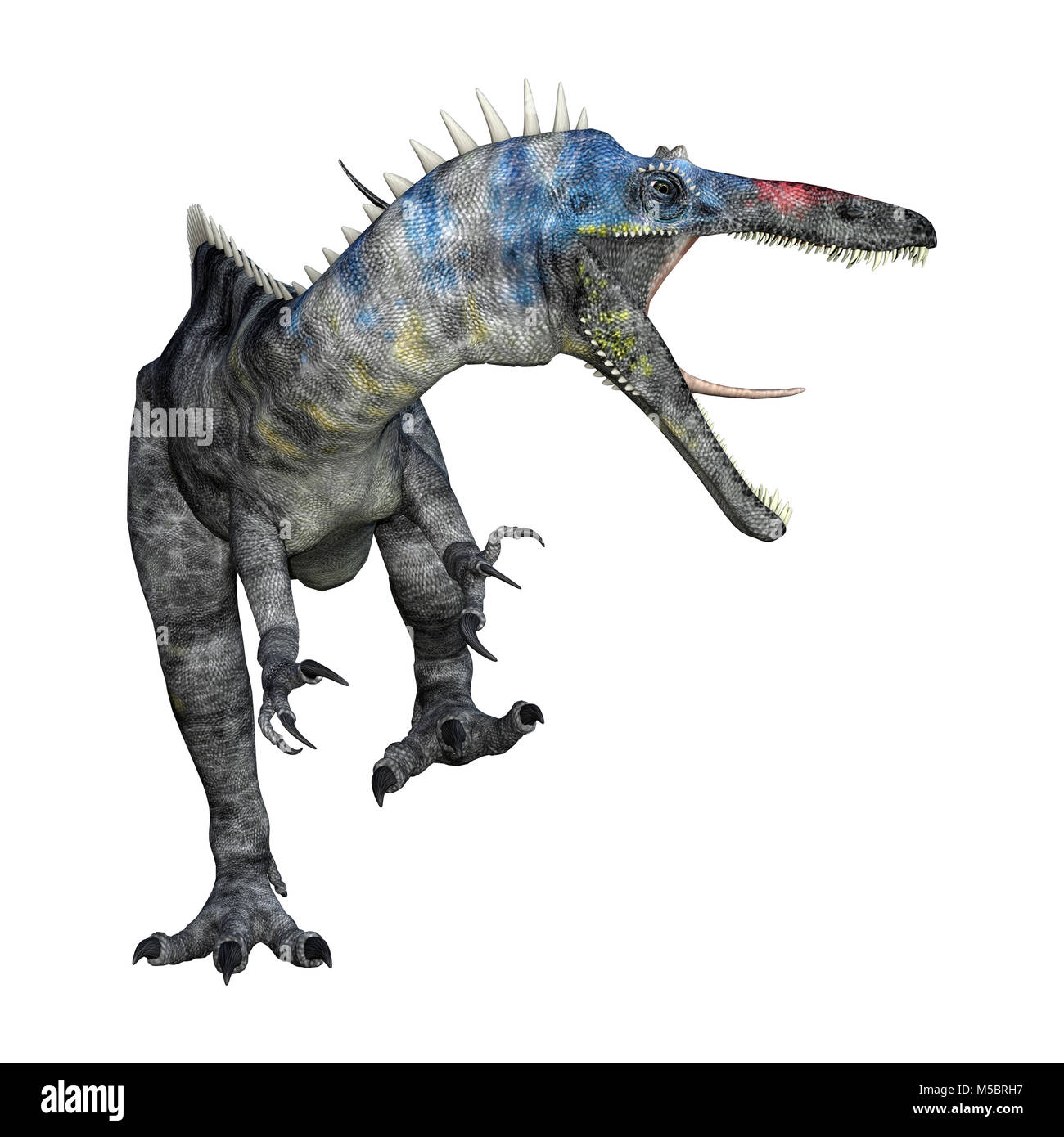 3D rendering di un dinosauro Suchomimus o Suchomimus tenerensis isolati su sfondo bianco Foto Stock