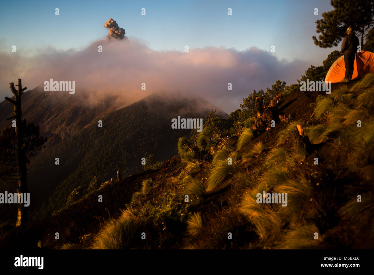 Volcan Fuego erutta al mattino presto in Guatemala. Foto Stock