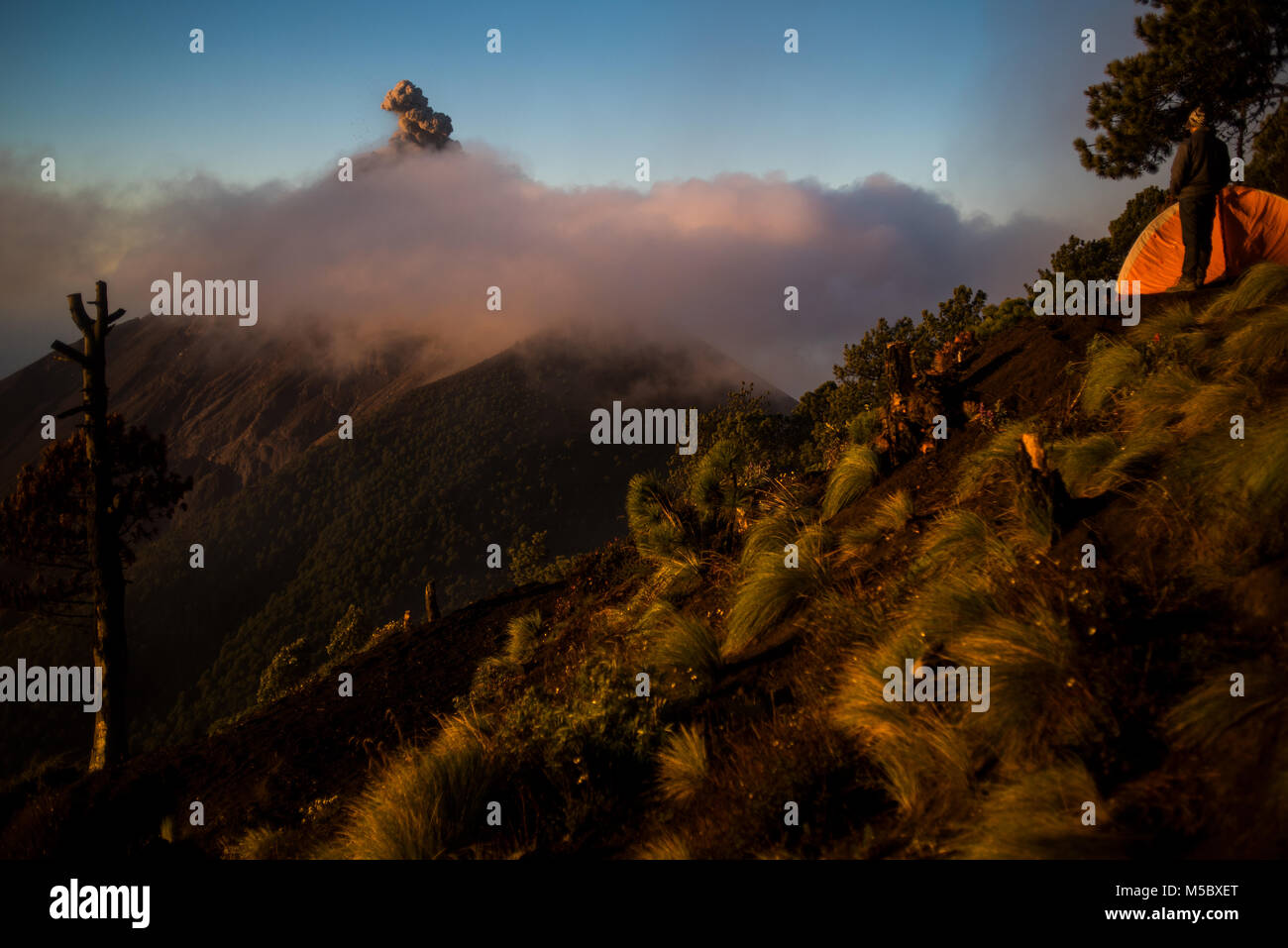Volcan Fuego erutta al mattino presto in Guatemala. Foto Stock