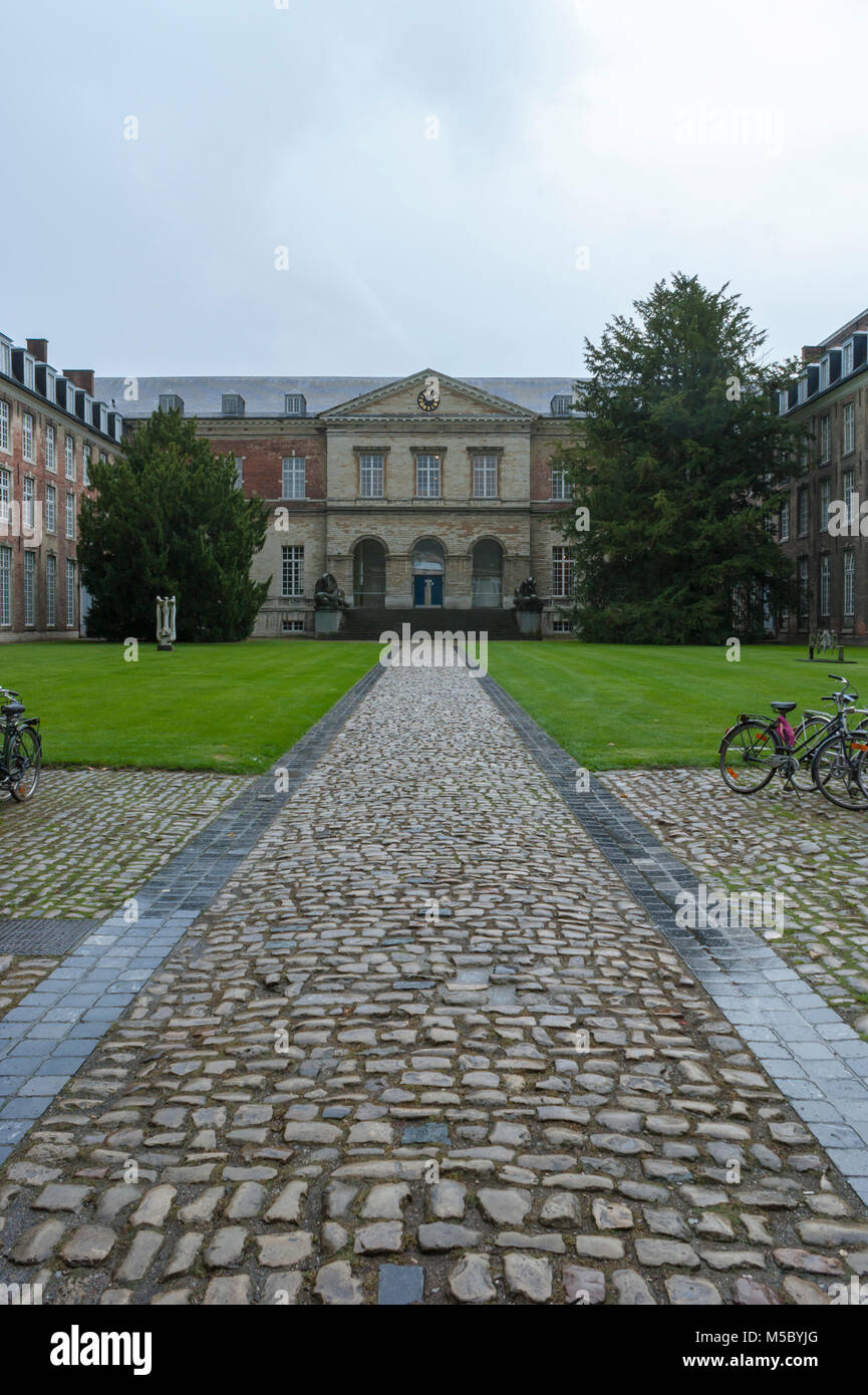 Vista dal cortile del Paus Adriaan VI-College (Pauscollege / Papa's College) a Leuven, in Belgio. Foto Stock