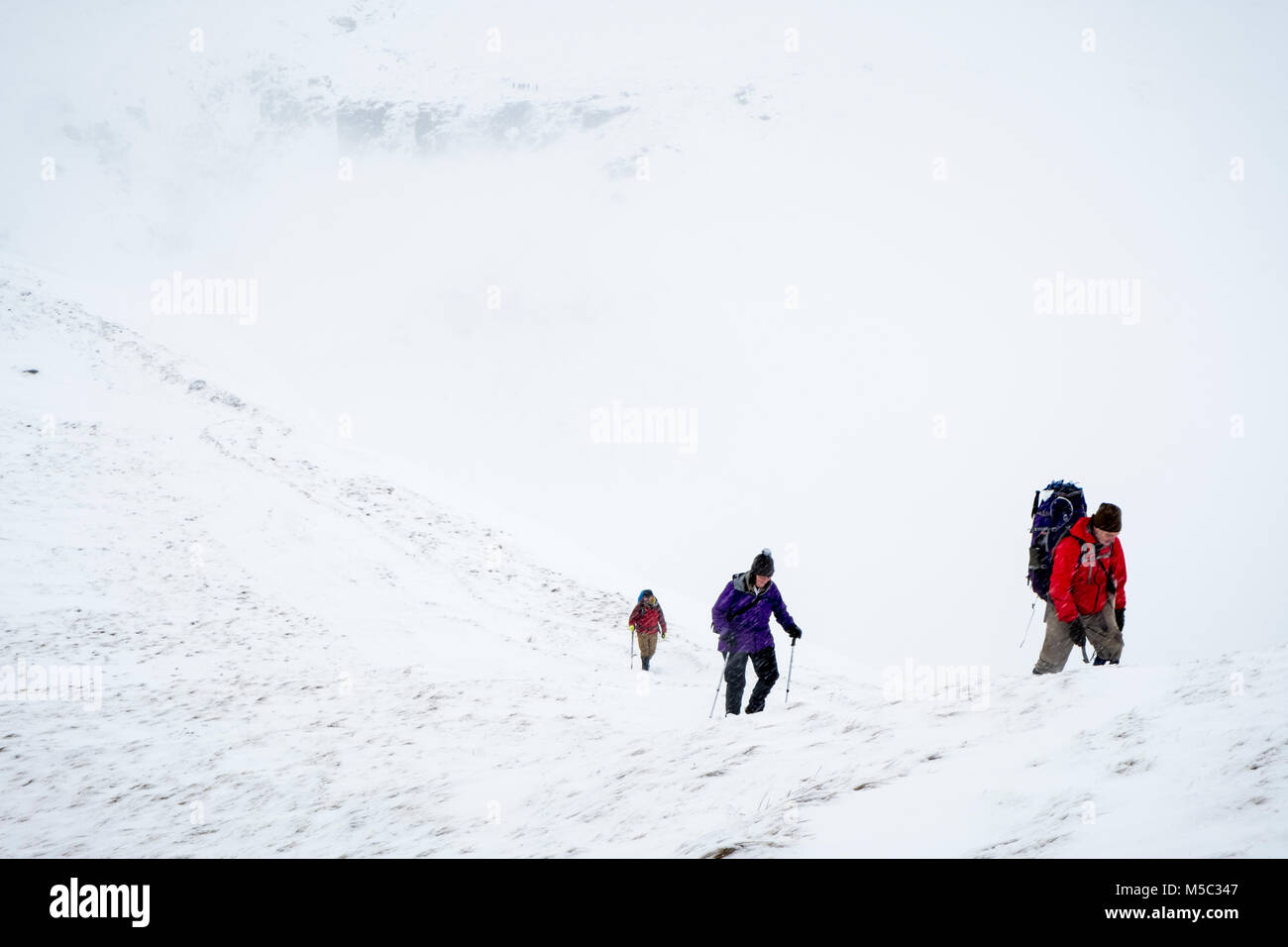 Escursionismo in inverno. Gli escursionisti a piedi nella neve su Kinder Scout, Derbyshire, Peak District, England, Regno Unito Foto Stock