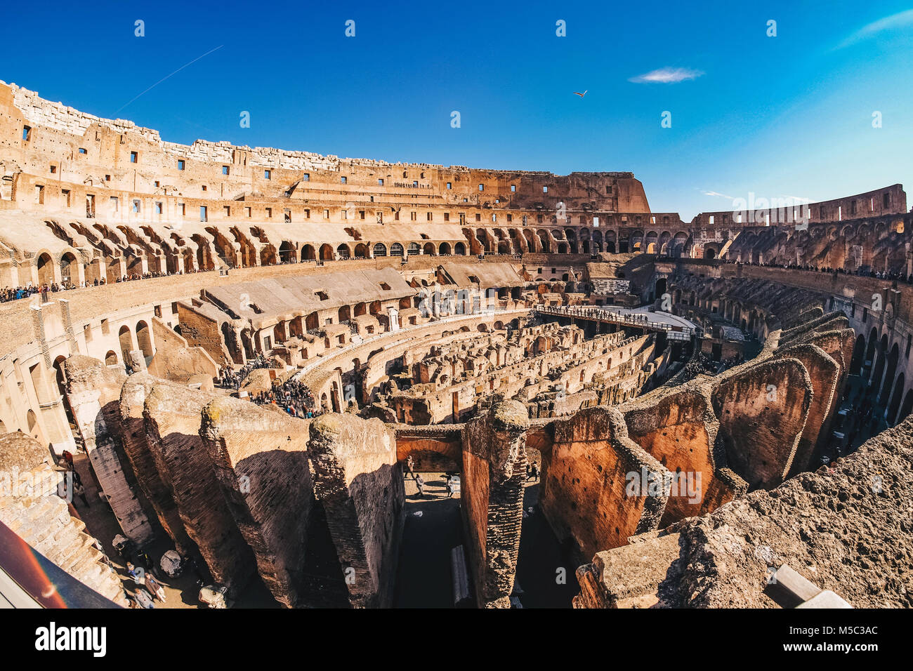 All'interno del Colosseo a Roma, Italia vista panoramica Foto Stock