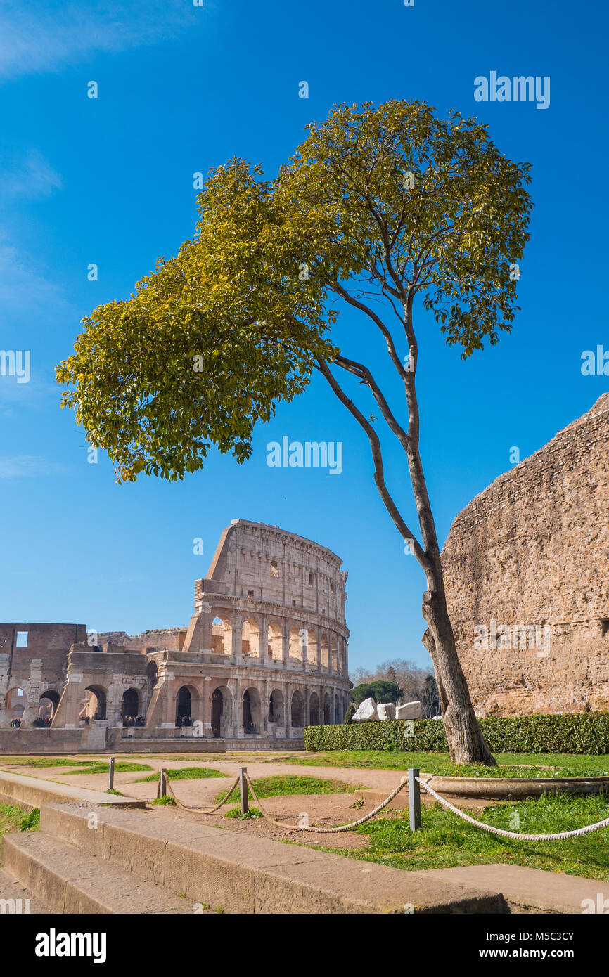 Colosseo come visto dal Colle Palatino in Roma, Italia Foto Stock