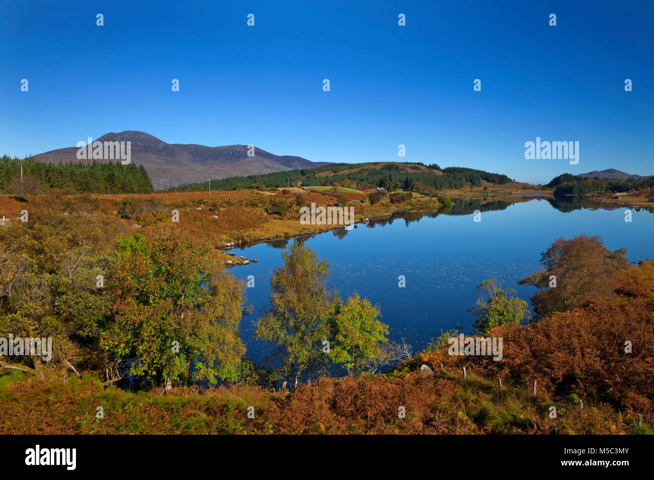 Looscaunagh Lough, Parco Nazionale di Killarney, nella contea di Kerry, Irlanda Foto Stock