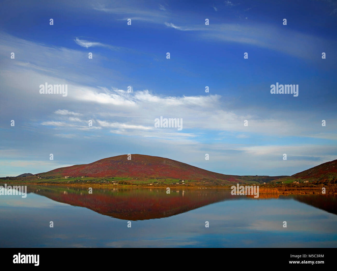 Vicino Cahirciveen, l'anello di Kerry, la Contea di Kerry, Irlanda Foto Stock