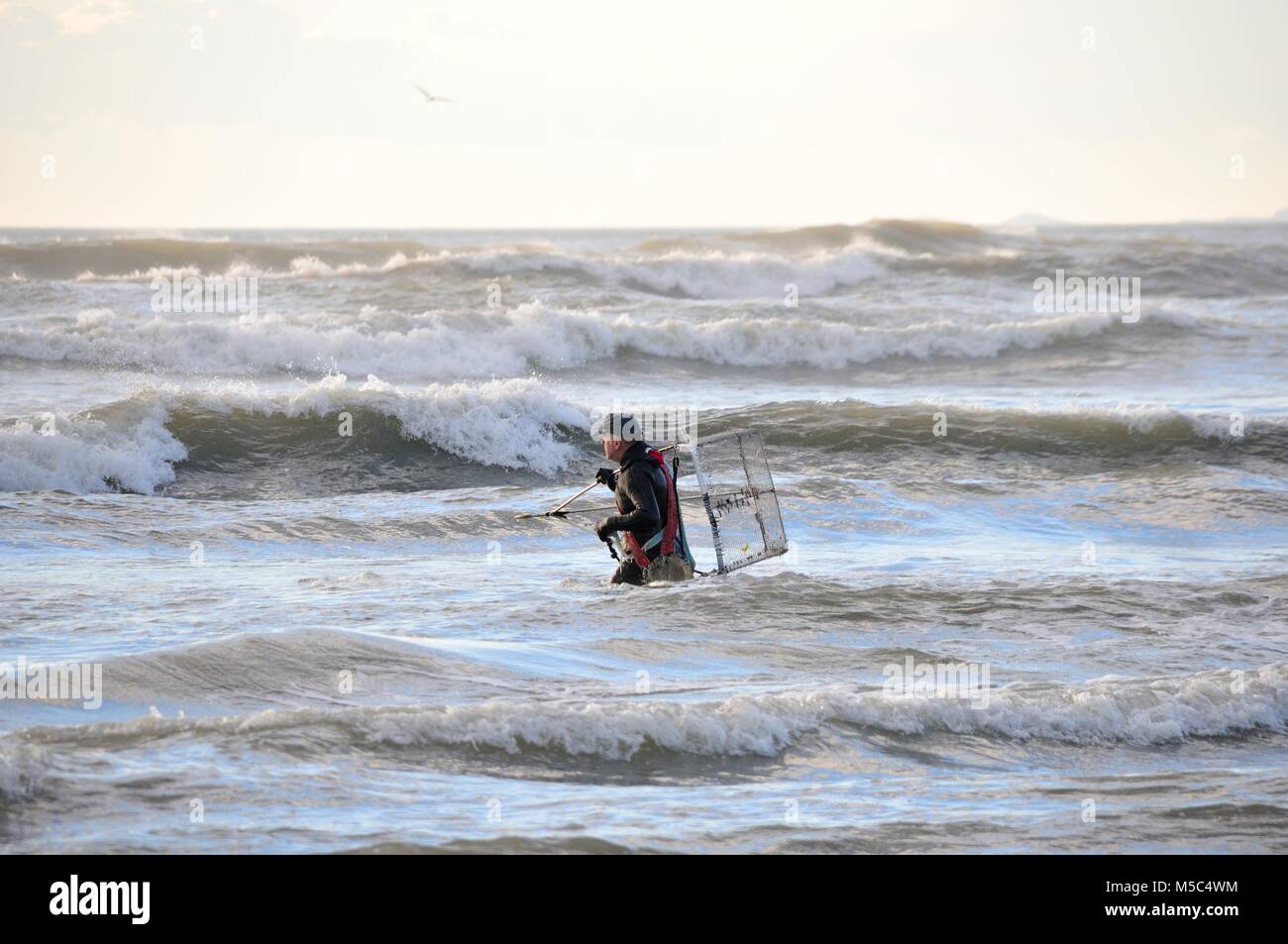 Fisherman utilizzando un tipo di muta in mare Foto Stock