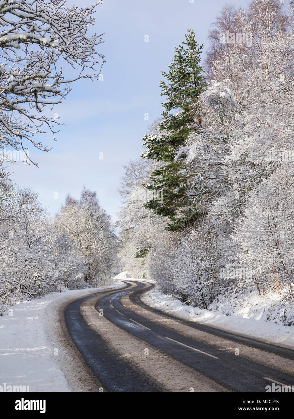 Inverno sulla A831 attraverso Glen Urquhart, Highland, Scotland, Regno Unito Foto Stock