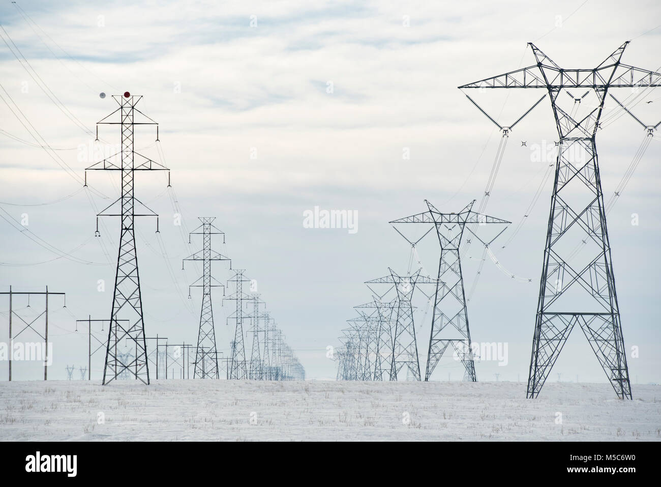 Alberta, Canada. Guardando verso il basso centro di a doppia fila di piloni di elettricità/torri di trasmissione sulle praterie d'inverno. Foto Stock