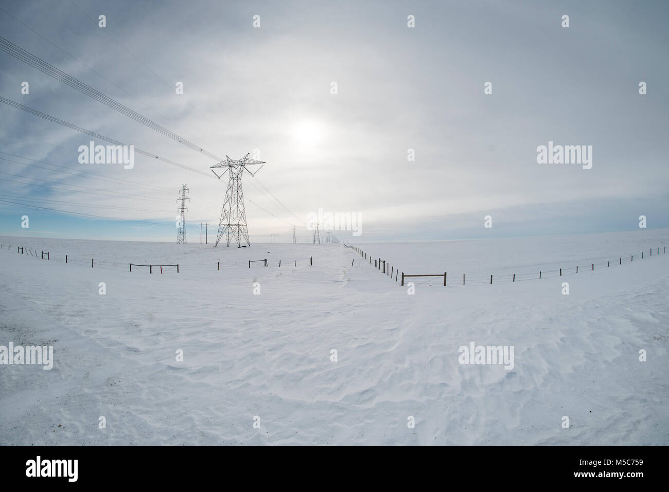 Alberta, Canada. Elettricità tralicci/torri di trasmissione sulle praterie in inverno, fisheye prospettiva. Foto Stock