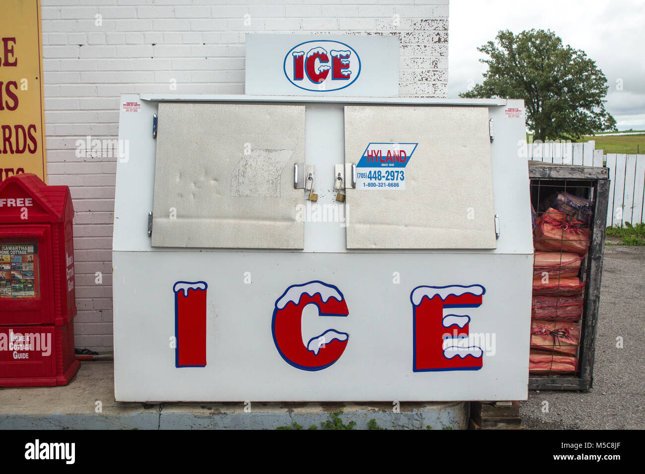 Torace di ghiaccio nella parte anteriore del negozio convenienza con ghiaccio per la vendita Foto Stock