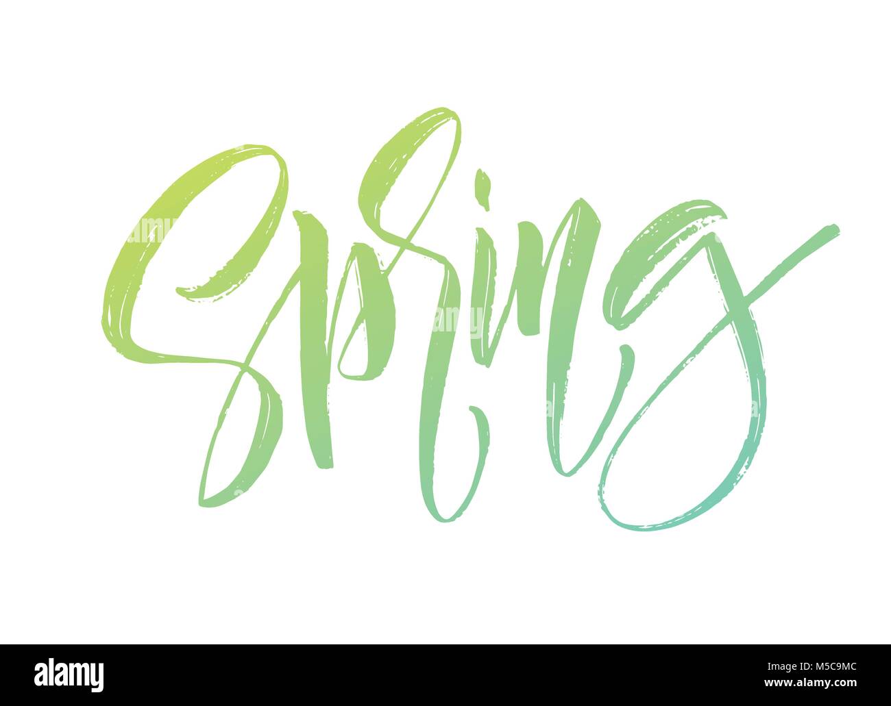 Molla di caratteri scritti a mano. Bella calligrafia moderna. Isolato su bianco per un facile utilizzo. Illustrazione Vettoriale Illustrazione Vettoriale