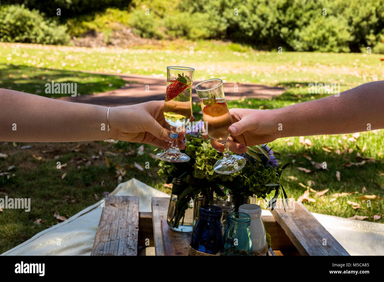 Picnic nel parco con un paio di tostare con vino spumante Foto Stock