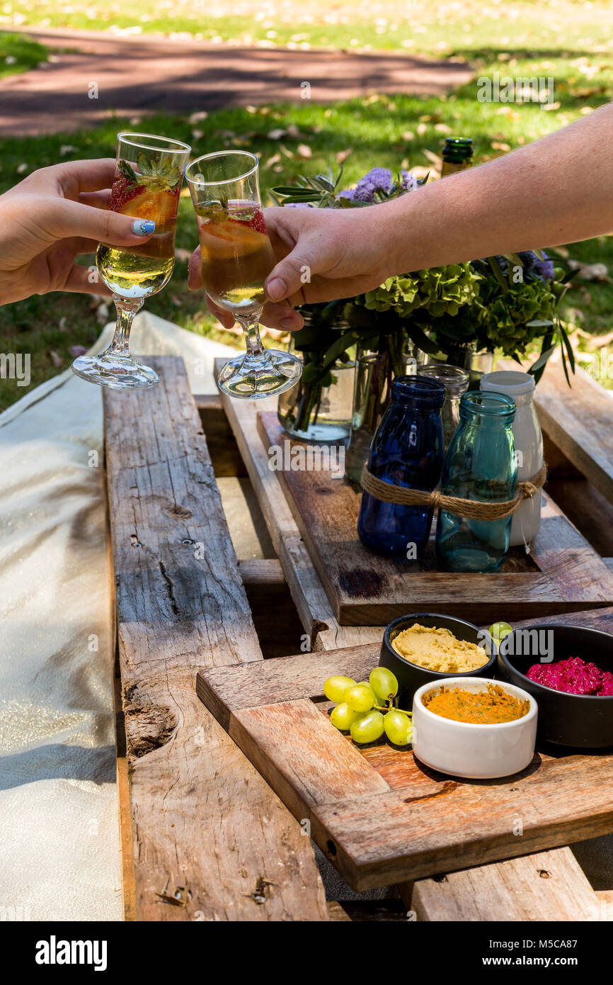 Picnic nel parco con un paio di tostare con vino spumante Foto Stock