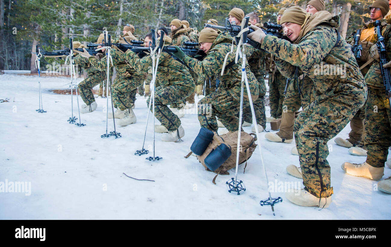 Stati Uniti Marines con Alfa batteria, 2a bassa altitudine la difesa aerea (LAAD) Battaglione condurre le punte di contatto durante la formazione di montagna Esercizio (MTX) 1-18 su Marine Corps Mountain Warfare Training Center Bridgeport, la California il 5 febbraio, 2018. 2° LAAD ha partecipato in MTX per aumentare il gruppo nella sua capacità di rispondere rapidamente, sostenersi e per compiere missioni in un unico tempo freddo ambiente e territorio montagnoso. (U.S. Marine Corps Foto Stock