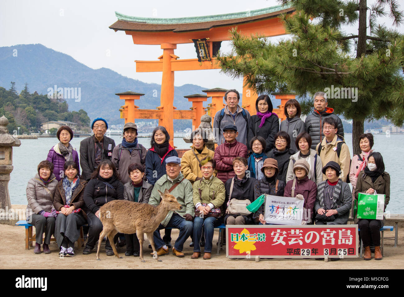 Itsukushima, noto anche come Miyajima, è una piccola isola nella baia di Hiroshima.solo il settore offshore è il gigante, arancione grande Torii Gate. Foto Stock