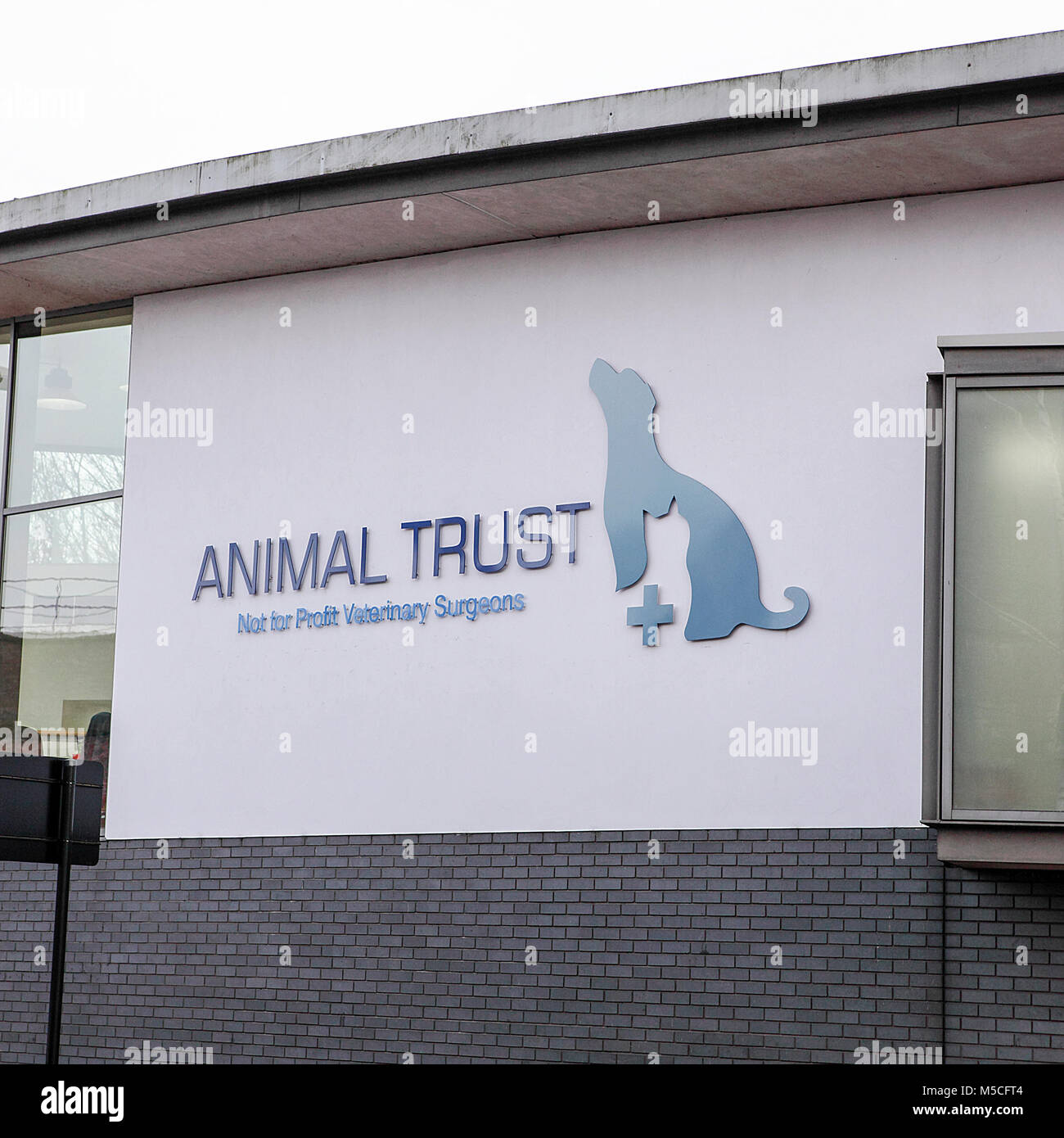 Animali veterinario di fiducia centro drop in, Shrewsbury,, Inghilterra. Foto Stock