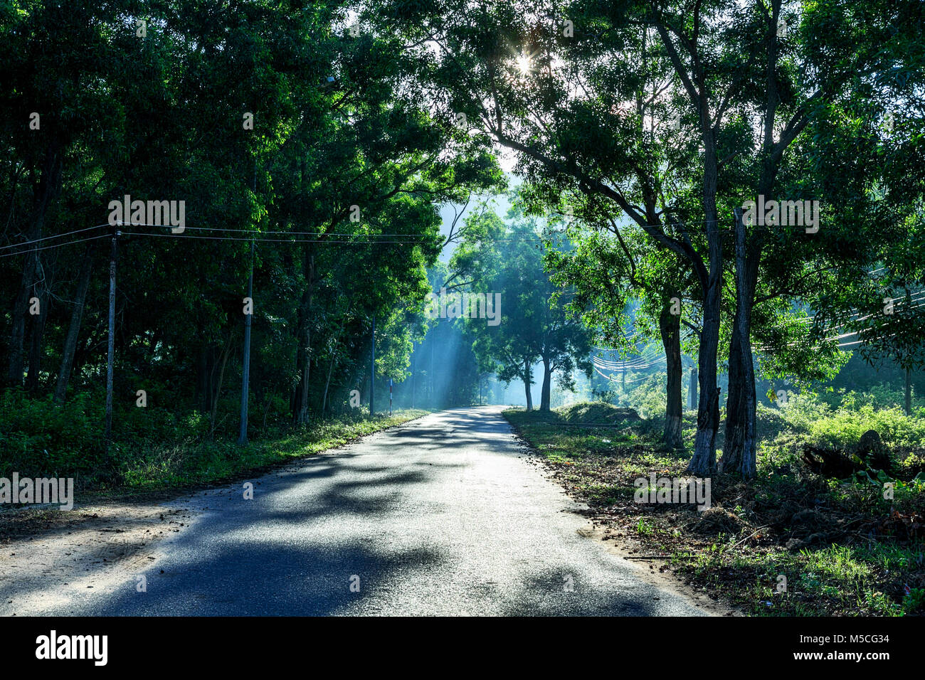 Ton Duc Thang street, Con Dao island, Ba Ria Vung Tau, Vietnam Foto Stock