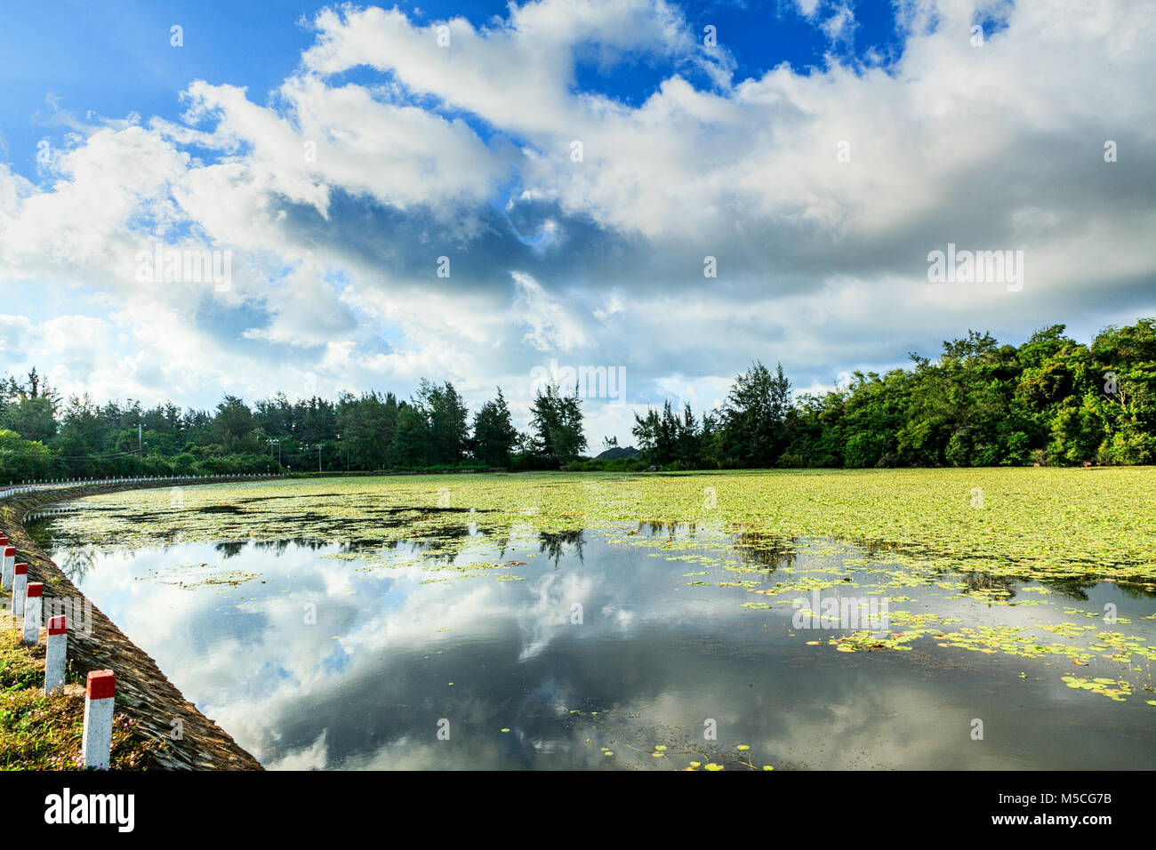 Hai un lago, Con Dao island, Ba Ria Vung Tau, Vietnam. Foto Stock