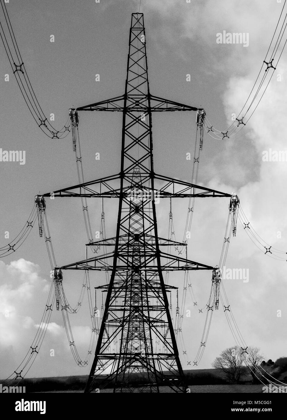 Elettricità tralicci attraversando la campagna in Carmarthenshire, West Wales. Regno Unito. (Alto contrasto B/W applicato in post) Foto Stock