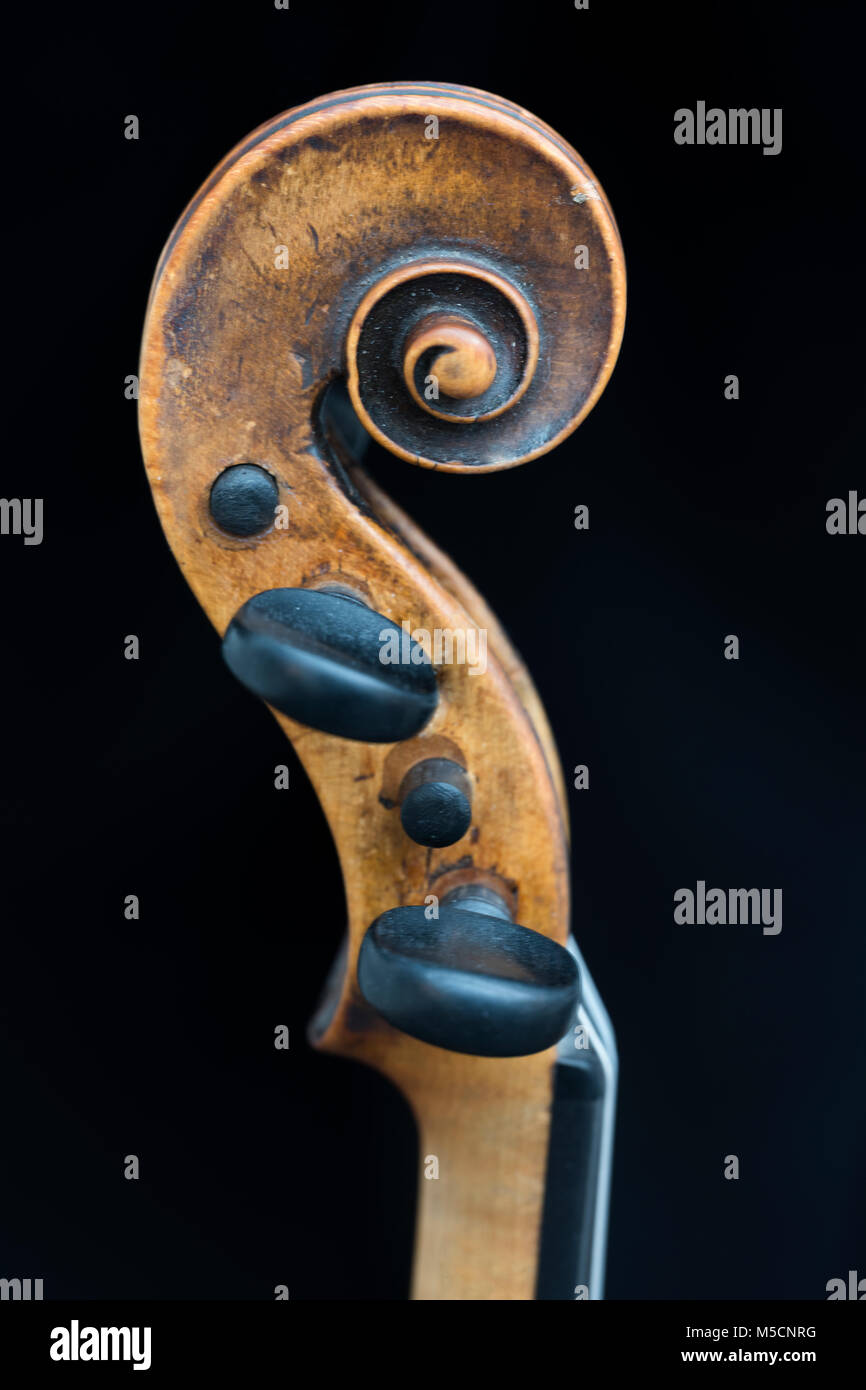 Scorrere del violino su sfondo nero in primo piano Foto Stock
