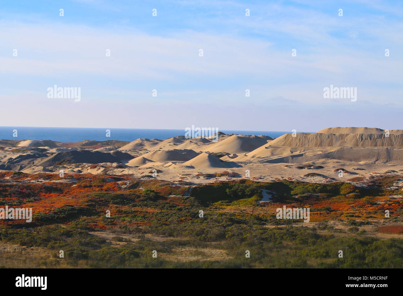 Le dune di sabbia in riva al mare a California Foto Stock