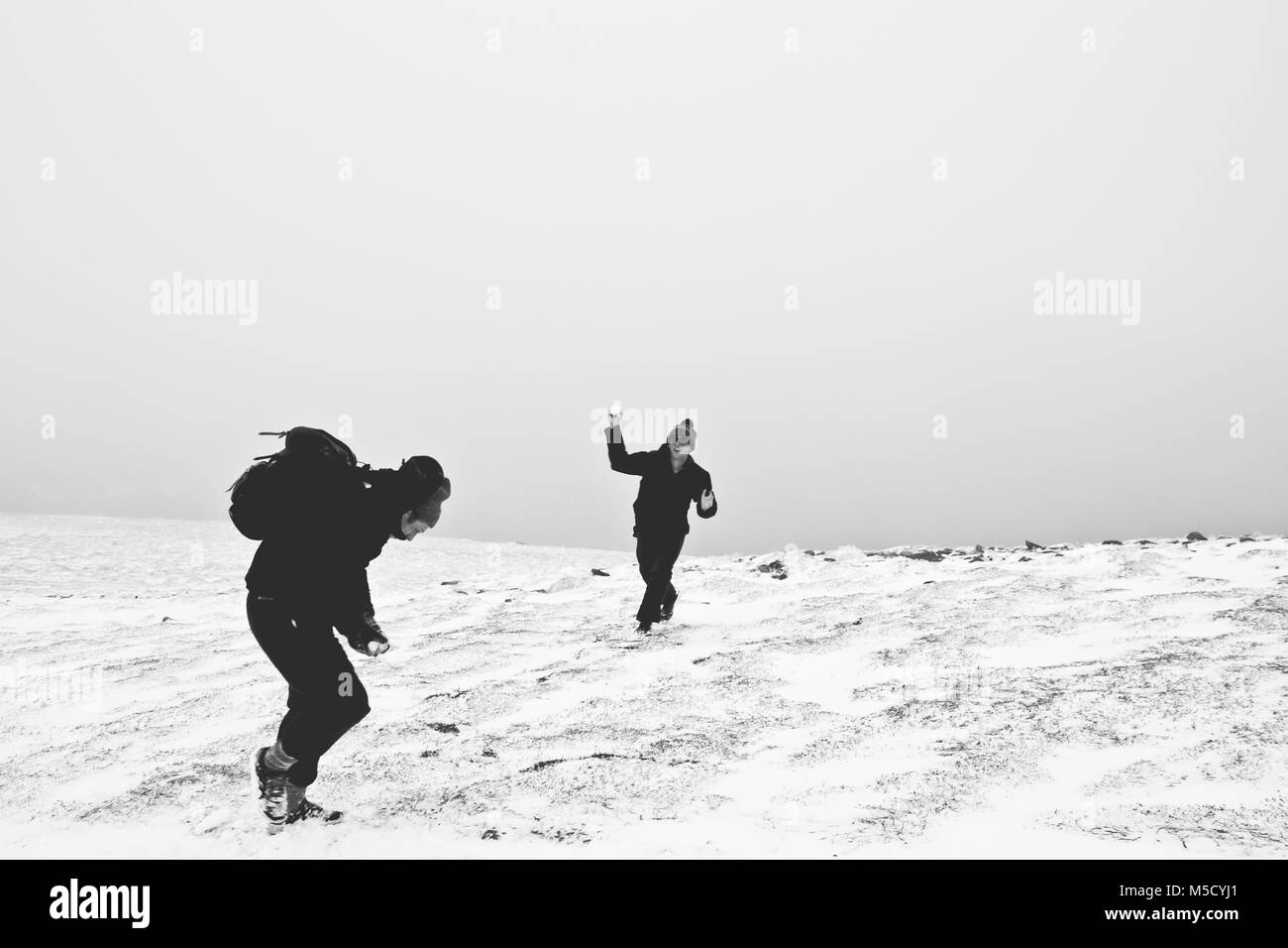Lotta di Snowball nella campagna della Scozia Foto Stock