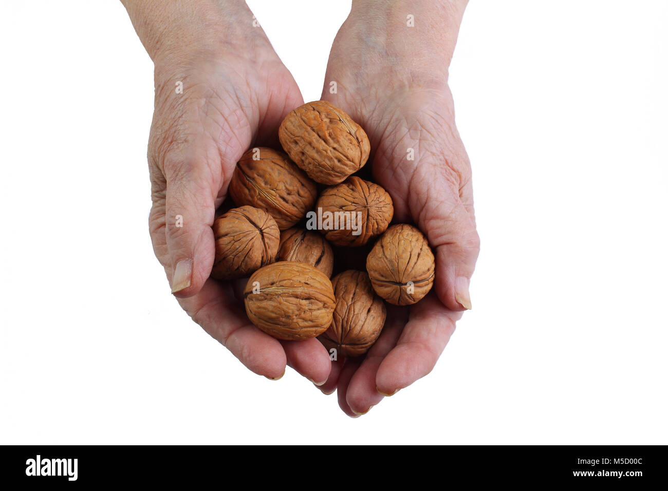 Vecchio mani femminili con noci su sfondo bianco isolato Foto Stock