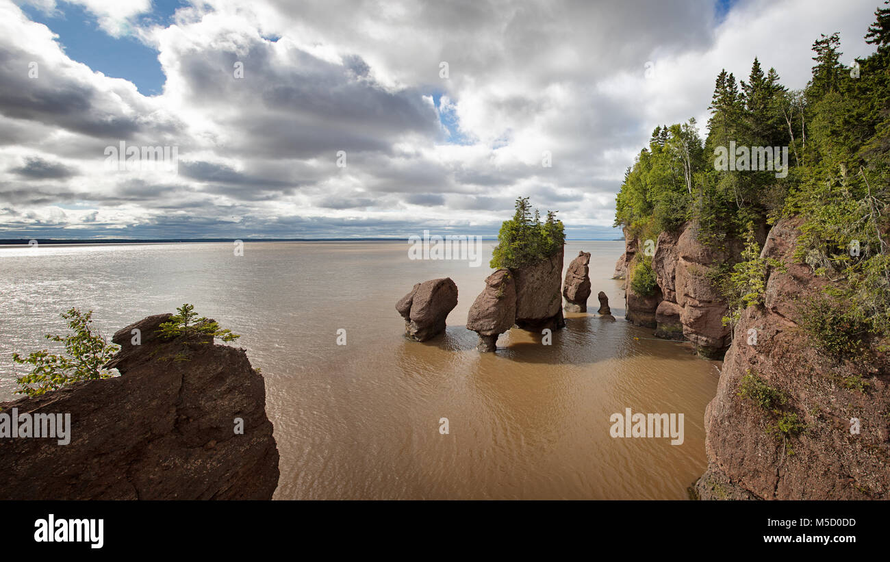 Panorama del vaso formazioni rocciose a Hopewell Rocks, Baia di Fundy, New Brunswick. La estrema di marea della baia rendono il mare simile m Foto Stock