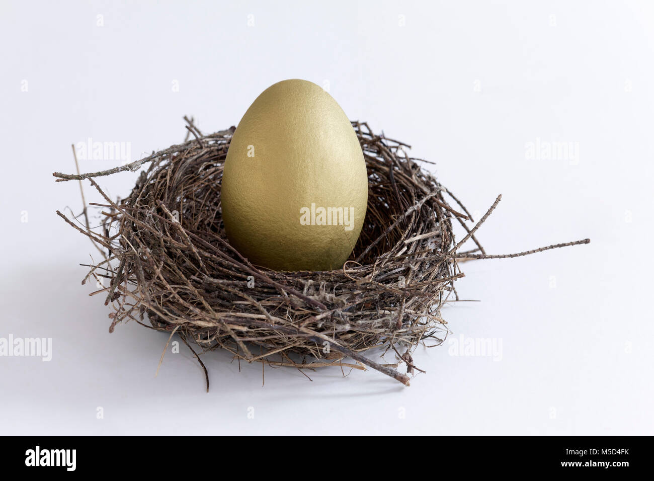 Bird's Nest con Golden Egg, studio shot, ritaglio Foto Stock