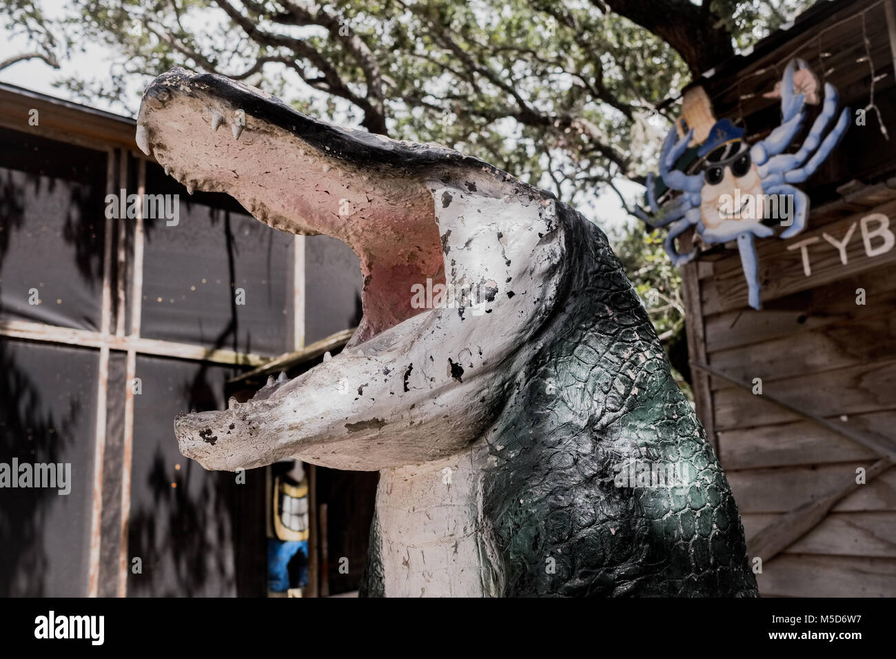 Alligatore al Crab Shack su Tybee Island, Savannah, Georgia, America del Nord Foto Stock