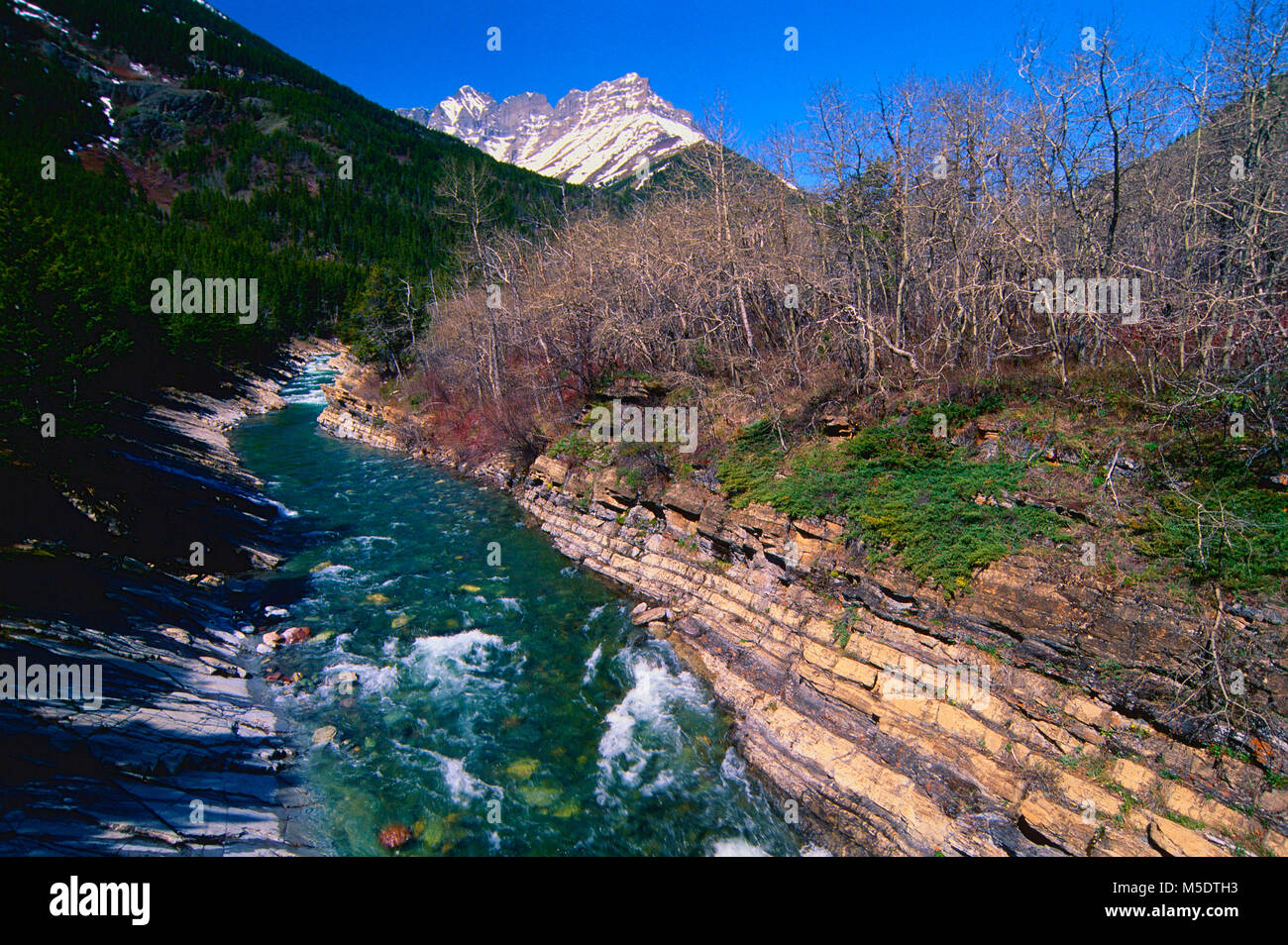 Blakinston Creek, creek, fiume, Blakinston Valley, il Parco Nazionale dei laghi di Waterton, Alberta, Canada Foto Stock