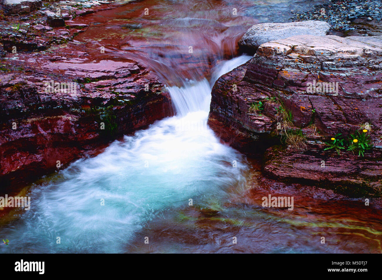 Cascata, stream, Red Rocks, Lost Horse Creek, Parco Nazionale dei laghi di Waterton, Alberta, Canada Foto Stock