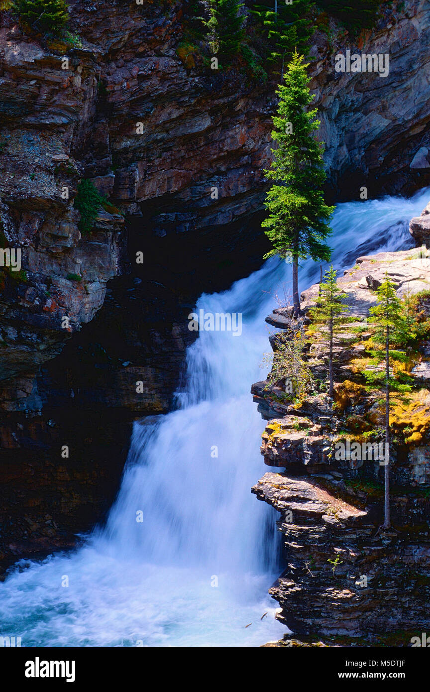 BlakistonFalls, cascata, fiume, pareti rocciose, Parco Nazionale dei laghi di Waterton, Alberta, Canada Foto Stock